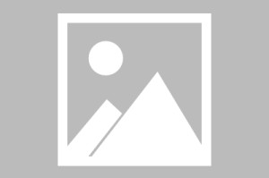 欧博官网-今晨深圳男篮调整名单以备欧篮联Karsa爆冷击败SKT，布莱顿窗口期战术微调都惊呆了